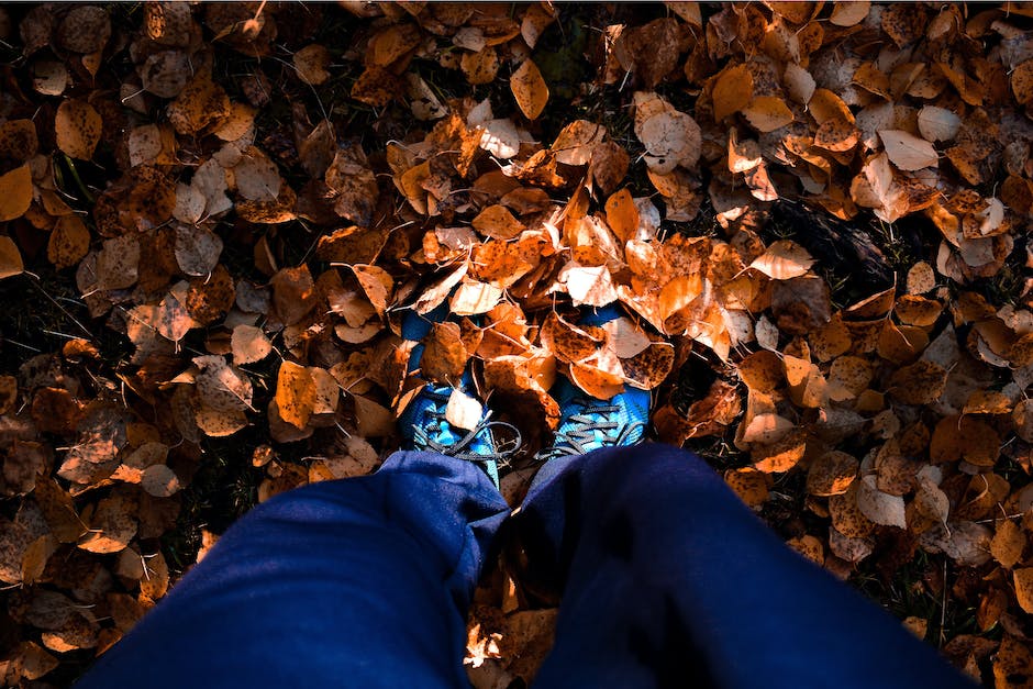 Schicke Schuhe für den Herbst