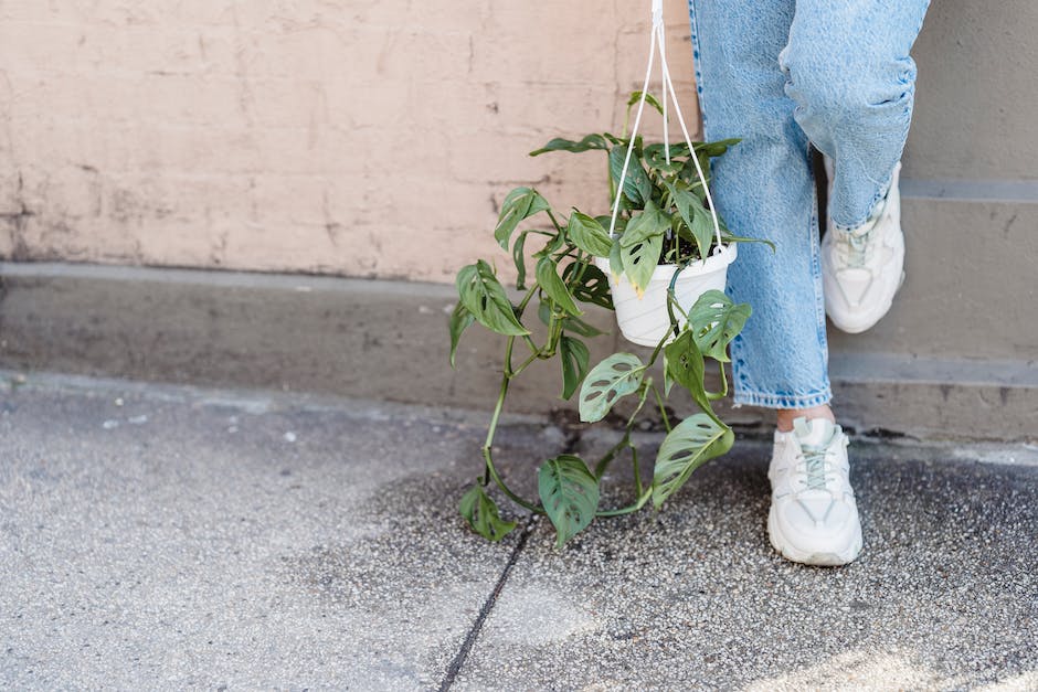 Schuhe passend zu Kleid mit Leggings